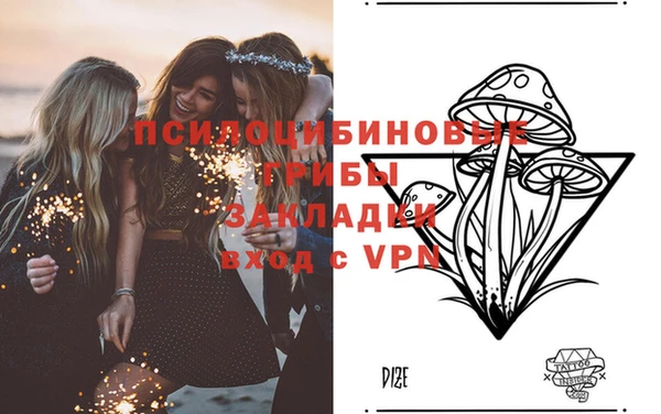 бошки Алзамай