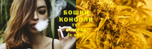 бошки Алзамай