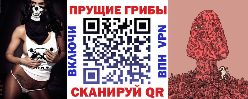 где купить наркотик  Тосно  Галлюциногенные грибы прущие грибы 
